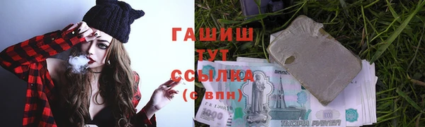 крисы Алзамай