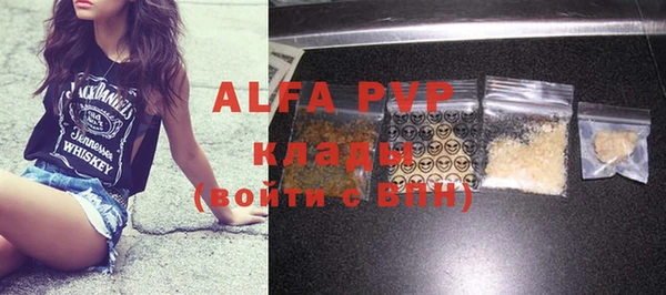 крисы Алзамай