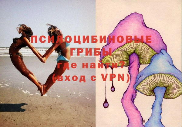 соль ск Алексеевка
