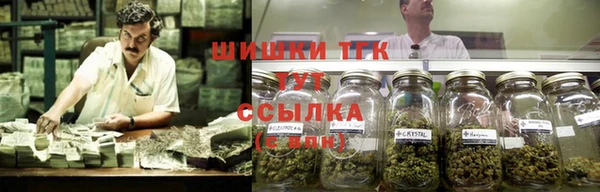 крисы Алзамай