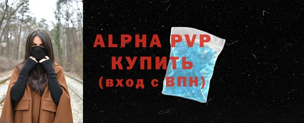соль ск Дмитров