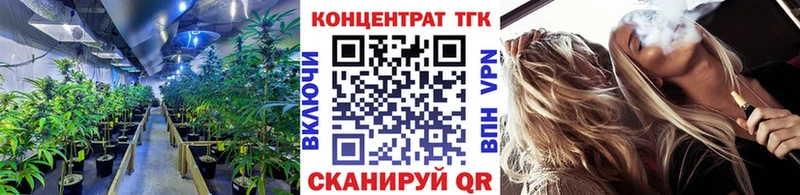 магазин    Ковылкино  Дистиллят ТГК Wax 