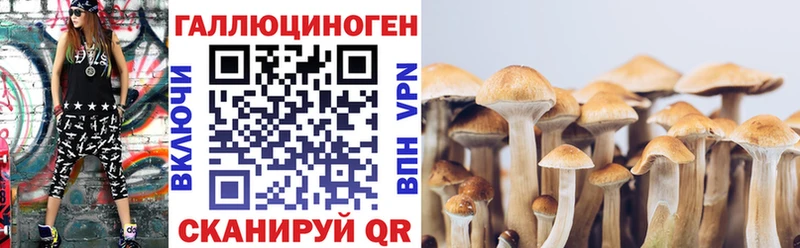 OMG ONION  цены   Ковылкино  Псилоцибиновые грибы мухоморы 
